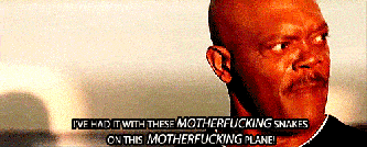 tumblr_mggqqpfzsl1qcga5ro1_500_zpshkekjb8o