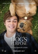dogs_purpose_ver12_zpsvcjjdbju