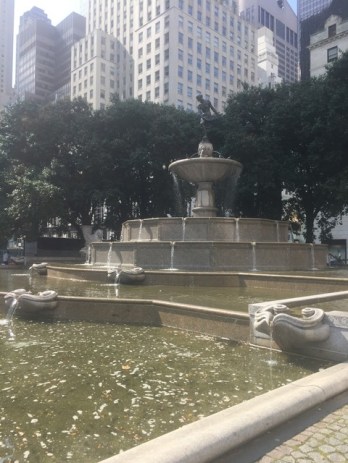 img_2451_zpst4g1xyen